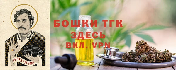 первитин Осинники