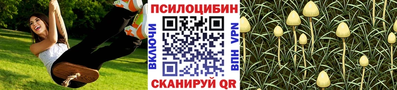 Псилоцибиновые грибы GOLDEN TEACHER  Кировск 