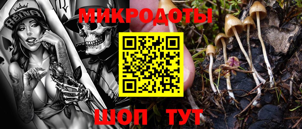 Кировск  Галлюциногенные грибы прущие грибы  Галлюциногенные грибы Psilocybe  Вход с VPN 