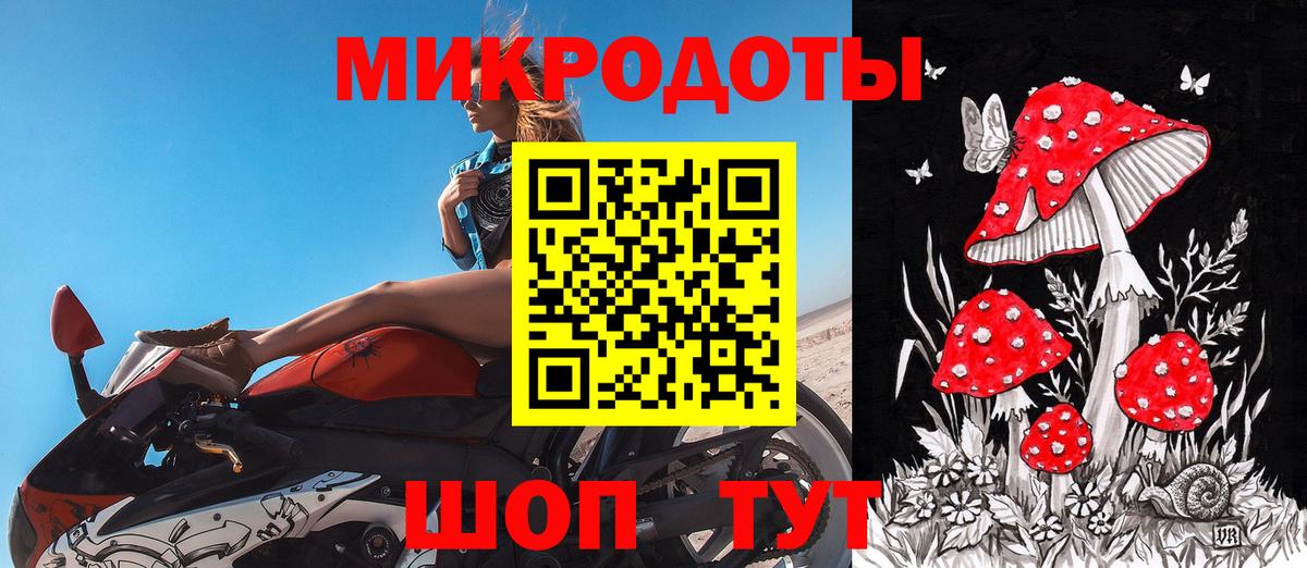 Галлюциногенные грибы Psilocybine cubensis Кировск