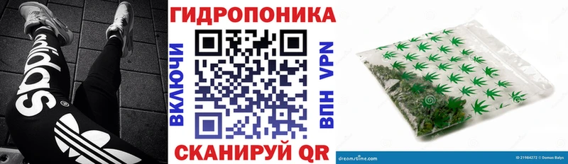 мега сайт  Кировск  Марихуана LSD WEED  как найти закладки 