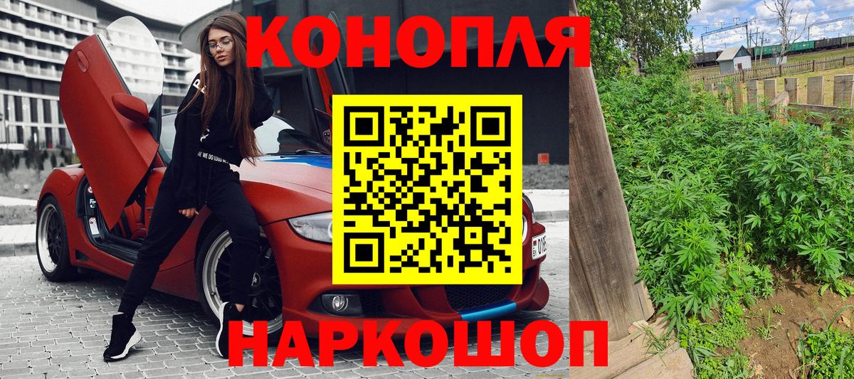 Каннабис план Кировск
